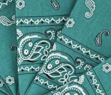 Customized Bandana — NSCO